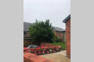 Delightful detached Cottage in Village Centre - 1