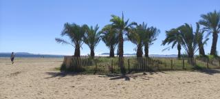 2 chambres côté plage et aéroport - Hyères - 0