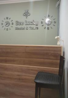 Bee Lucky Hostel and Tours - Erevan - 6