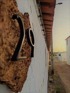 Cabanitas 29 - Refúgio Alentejano - Minas de São Domingos - 0