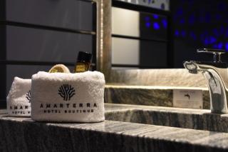 Amarterra Hotel Boutique - Mexico-Stad - 3