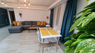 Zander Home Apartment - Buşteni - 8