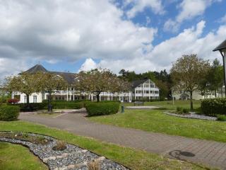 Dünenpark Binz - Fewos by Sander - strandnah mit Balkon oder Terrasse - Hunde willkommen - Binz - 5