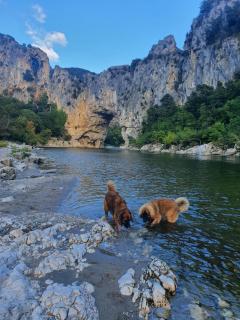 Lou Visetto à Vallon-Pont-d'Arc - Vallon-Pont-dʼArc - 8