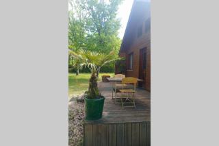 Chalet en forêt, brame du cerf - 2