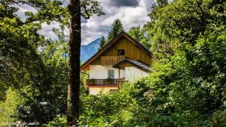 APARTMAJI GORENC - Bled - 6