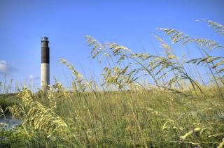 Yat Da Beach Down - Oak Island - 9