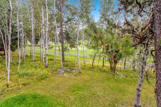 Evergreen Escape - McCall - 5