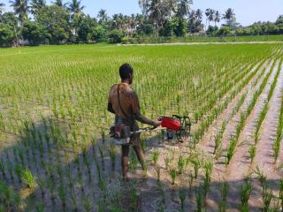THE FARM CREST, ECR KADALLUR - 1