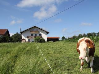 Afbeelding van de locatie