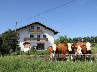 Haslacher Hof - Waging am See - 9