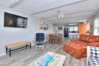 Dolphin Delight - Oak Island - 1