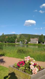 Aussicht - Hahnenklee-Bockswiese - 1