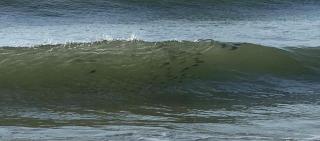 Lucky Enough - Oak Island - 0