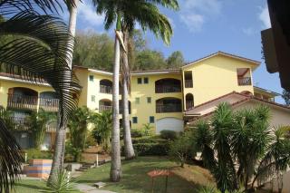 Studio colibri - Sainte-Anne - 0