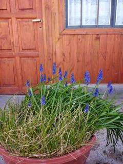 Hospedaje "San Andres" - 7