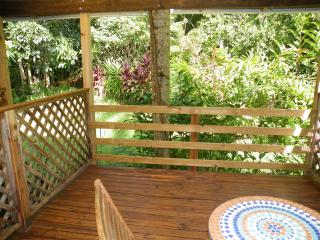 Epiphyte B & B - 9