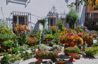 Hotel Seraina - 4