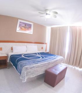 Hotel Niza Zona Piel - León - 8