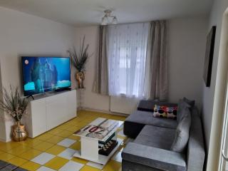 Casa Teilor - Vişeu de Sus - 8