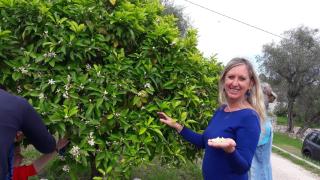 To seize Holiday rental La Maison De Noelie Rdj 300m River 800m Village - 1