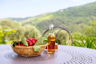 La Maison De Noelie - stunning house for rent - Le Bar-sur-Loup - 2