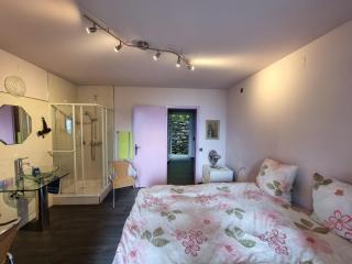 Residence Venus Garden - Brissago - 9