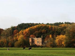 Bickleigh Castle - 4