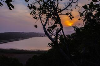 Edge of Eden - Wilderness - 5