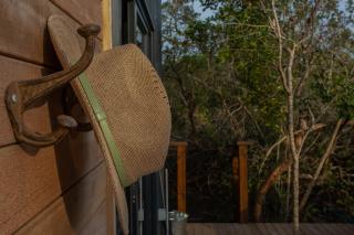 Edge of Eden - Wilderness - 6