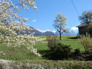 Vornbichlhof - Fieberbrunn - 1