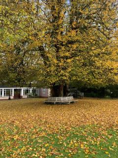 Dunadry Hotel And Gardens - 1