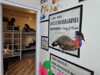 Hotel Kasauli Regency Stags Not Allowed - 8