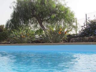 Wind Wave 28B - Heated & Shared pool - La Oliva - 8