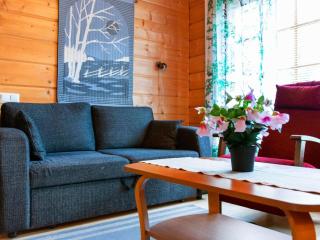 Holiday Home Otso by Interhome - Lahdenperä - 5