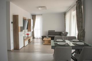 Tampa View Kasper - 7