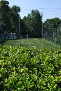 Happy Camp mobile homes in Camping Villaggio Internazionale - 2