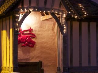 The Red Lion Hinxton - Hinxton - 7