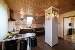 Apartment Sweethome FREE PARKING Mountain View - Uzhhorod - 0