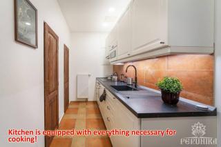Perunika Apartment in Center of Prague - Prague - 7