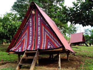 Kindiwayra Ecohostal - Pepino - 5