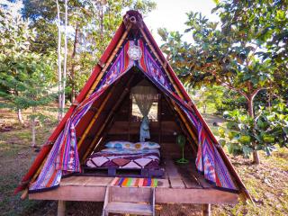Kindiwayra Ecohostal - Pepino - 0