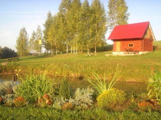 Brīvdienu māja Vīteri - Biksinīki - 9