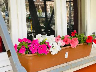 Il giardino di Iole Via Giovanni Amendola n36 - 3