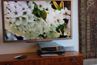 Ferienwohnung K+M+B am Ossiacher See - Tom - 9