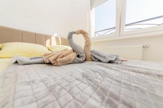 Apartman Jovana Banja Koviljaca - Banja Koviljača - 7