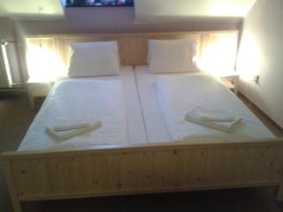Wellness Hotel Svachovka - Český Krumlov - 7