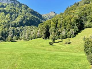 Wasserfall Apartments Mellau - 1