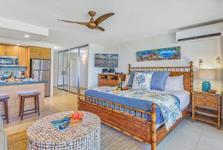 Papakea OceanView Studio condo - Lahaina - 3