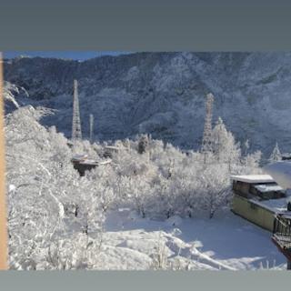 The Paradise, Old Manali - 5